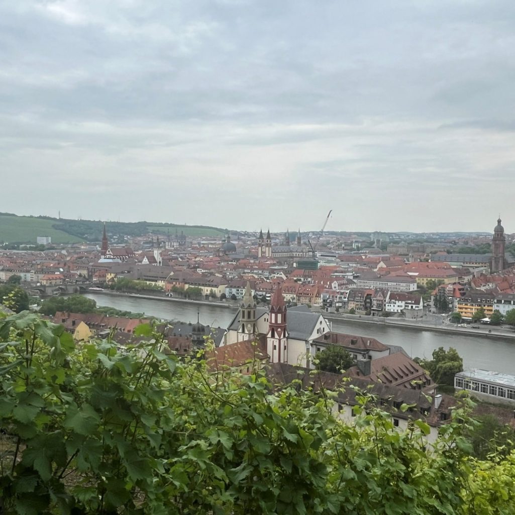 Panoramablick auf Würzburg Weinreben, Burkardskirche im Vordergrund, Panoramablick auf Main und Altstadt